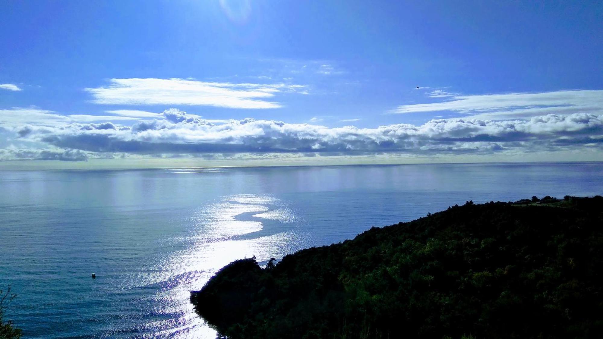 Hillside With Infinity Pool And Sea View